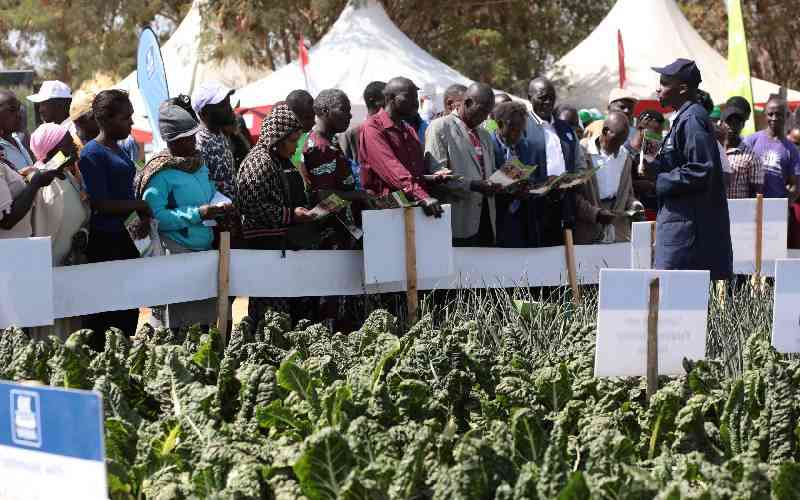 The young minds powering Kenya's agricultural transformation
