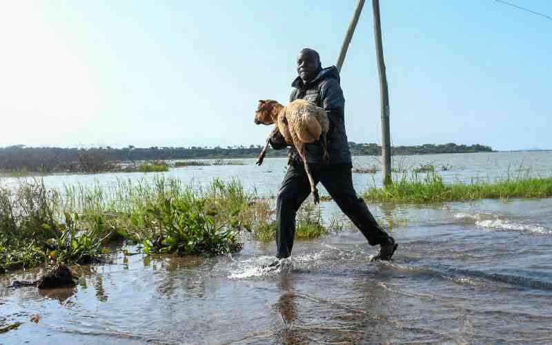 Water is life: Kenya must plan beyond the rains