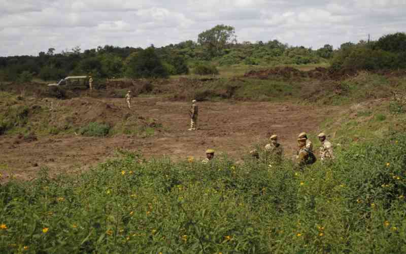 'This is not a land grab': KWS says Nairobi Park upgrade is critical for wildlife survival