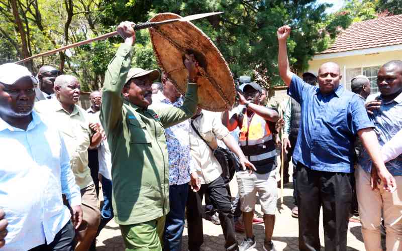 The die is cast after Kalonzo's visit to Opoda farm