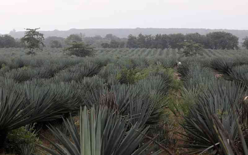 All talk and no action: Residents at the Coast decry land injustices