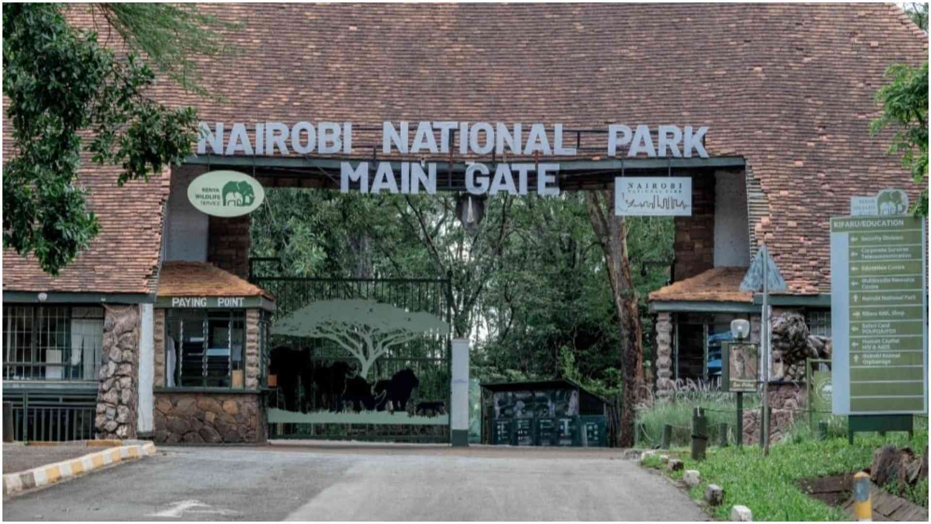 KWS dismisses park destruction claims, defends Nairobi Animal Orphanage relocation as lawful