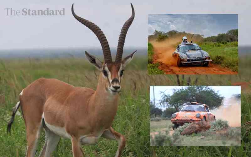 How Safari Classic Rally lived up to its billing