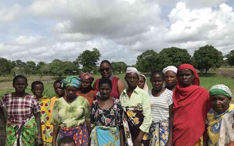 Widows reject food aid as they embrace farming