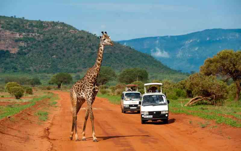 Kenya ranks eighth in regional conservation outlook