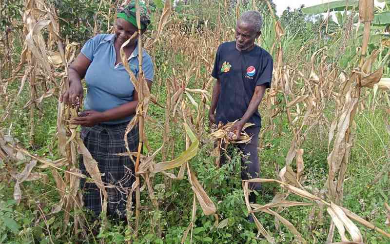 Seven counties partner with global agency to strengthen locally-led food and energy systems