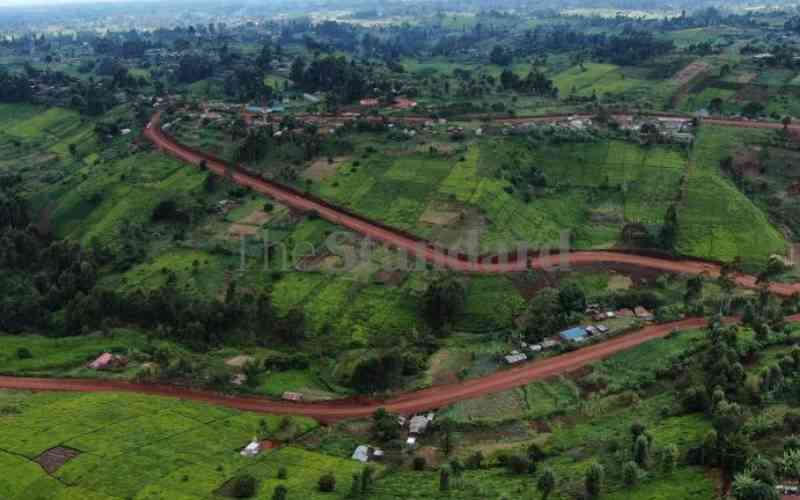 Why conservationists are against Sh4.4bn Aberdare Forest road deal
