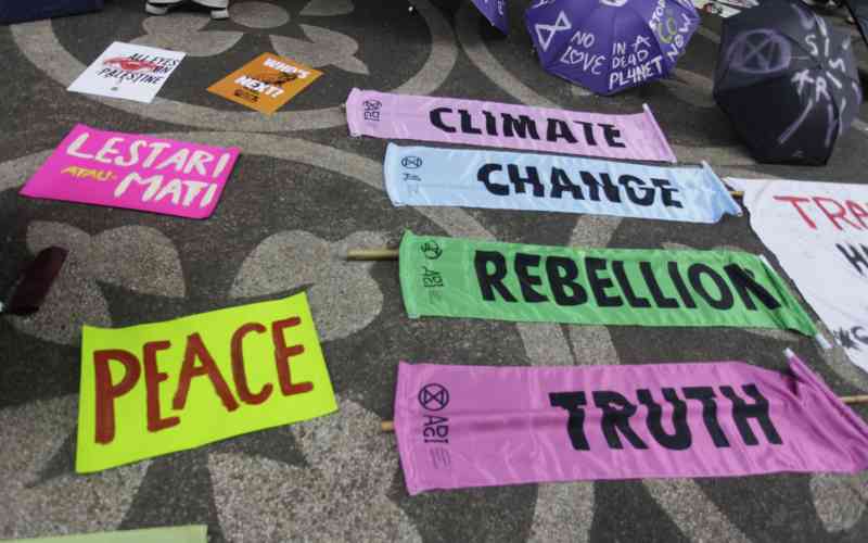 Report shows why climate funds are not reaching Africa