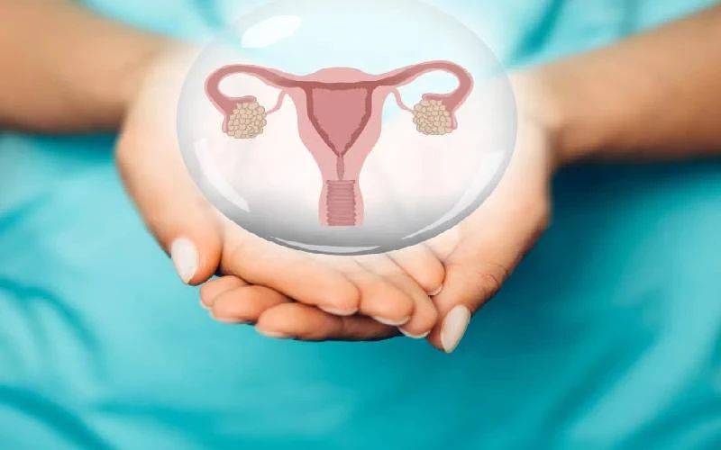Two American mothers court battles and the case for reproductive justice