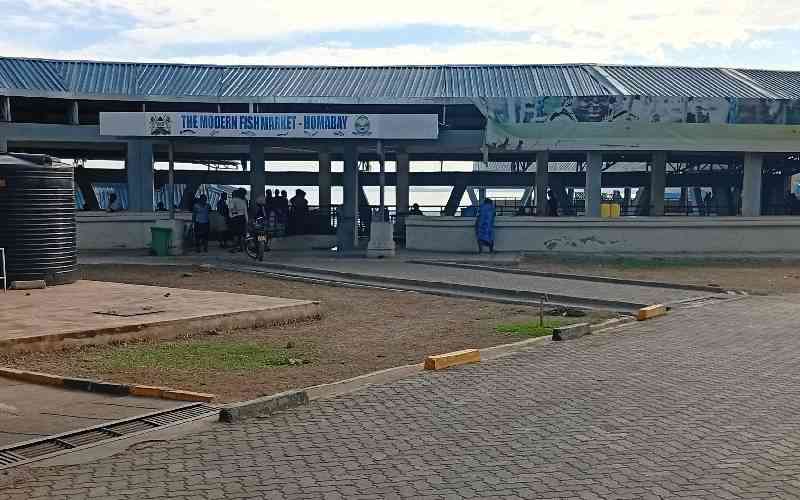 Fish market which paints Raila Odinga's image in Homa Bay