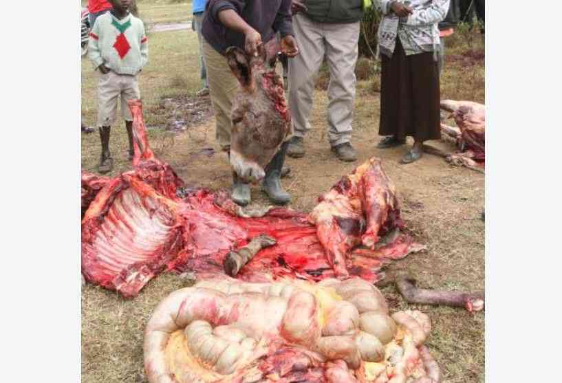 State issues alert over uninspected meat during festive season