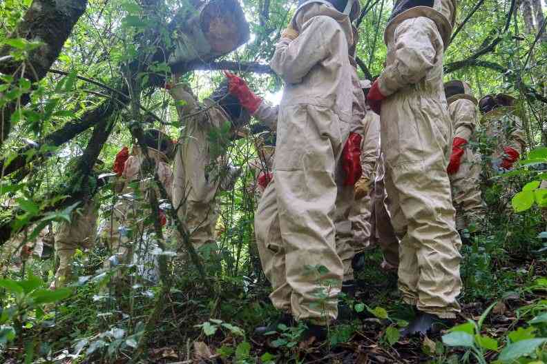 Beekeeping touted as game-changer in Kenya's food security strategy