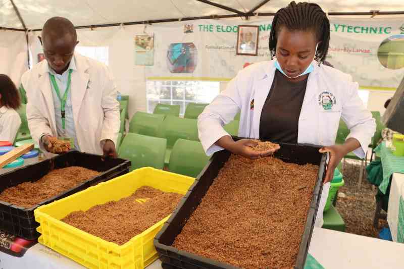 Eldoret Show: New techs offer glimpse into future of agriculture