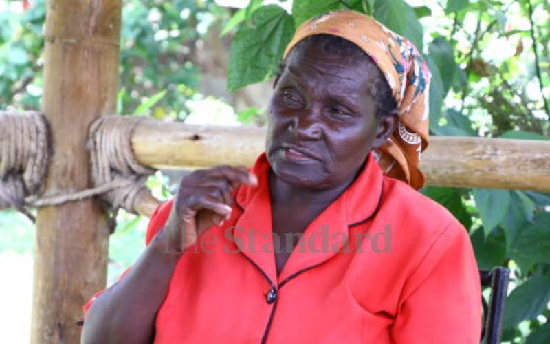 How granny lost Sh100m land over 45-day delayed appeal