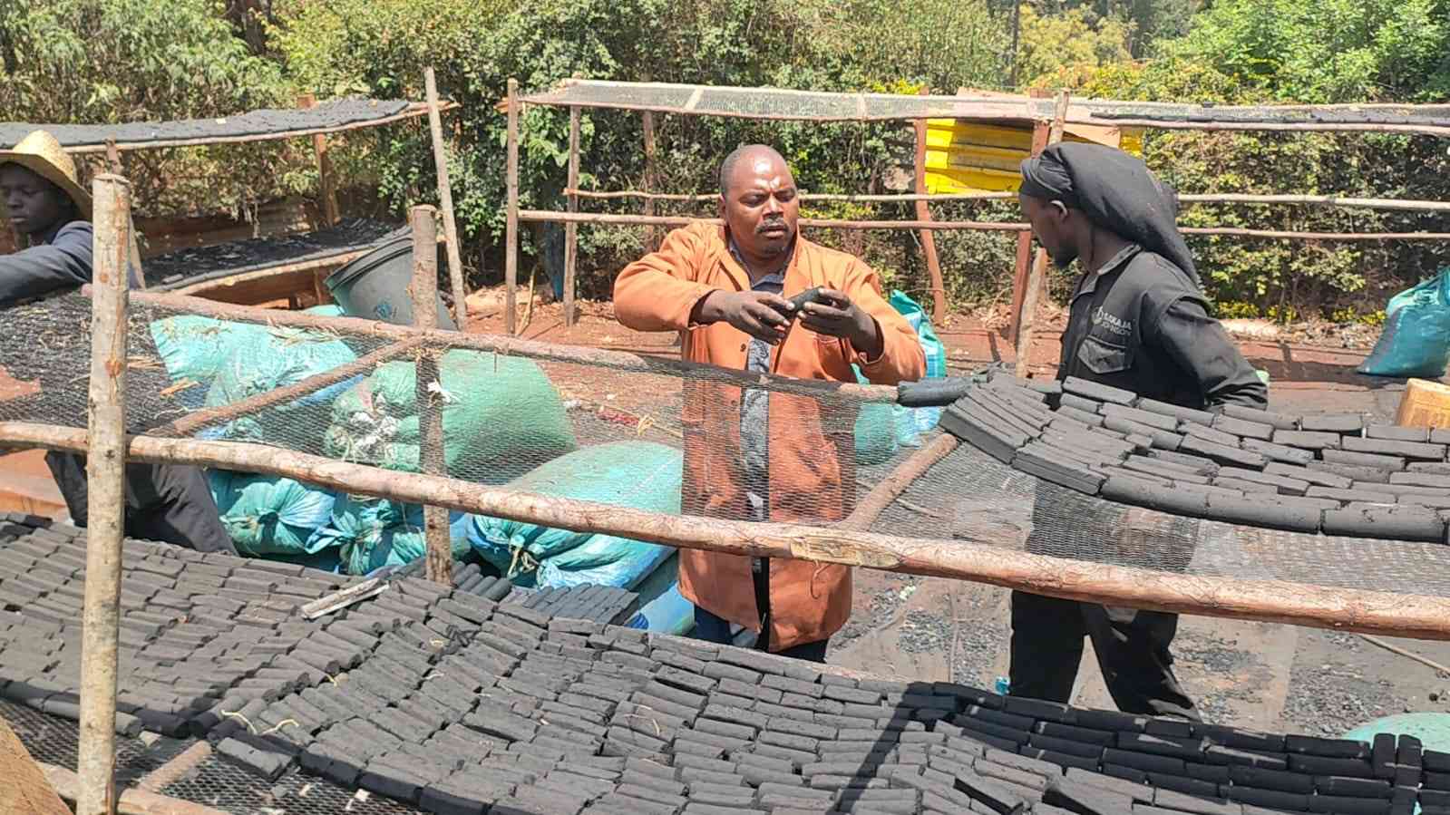 Cashing in on waste: Charcoal-making yard