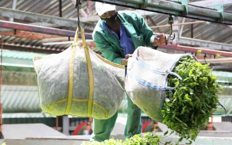 Tea farmers call for better equipment