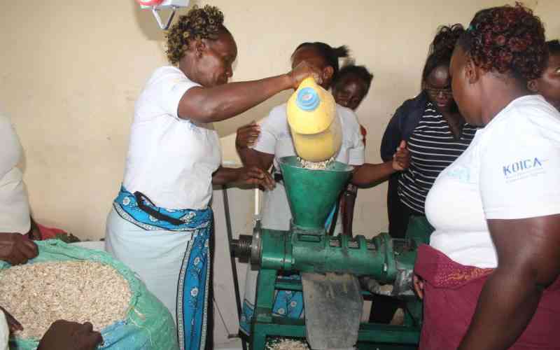 Sunflower farming brightens life in semi-arid Kitui village