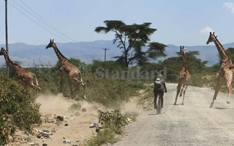 What 'Middle Kenya' has for you in energy and adventure