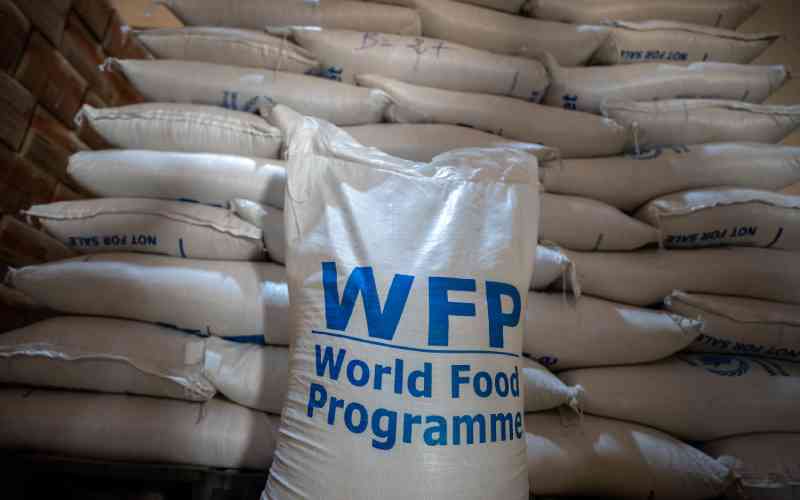 WFP suspends aid in South Sudan county after convoy attacks