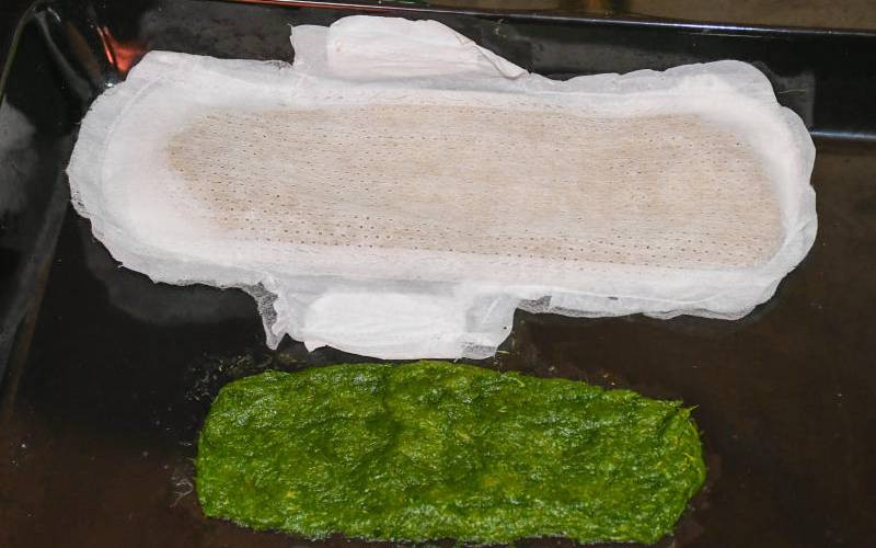 How bio-degradable pads from farm waste fuel eco-friendly sanitary revolution