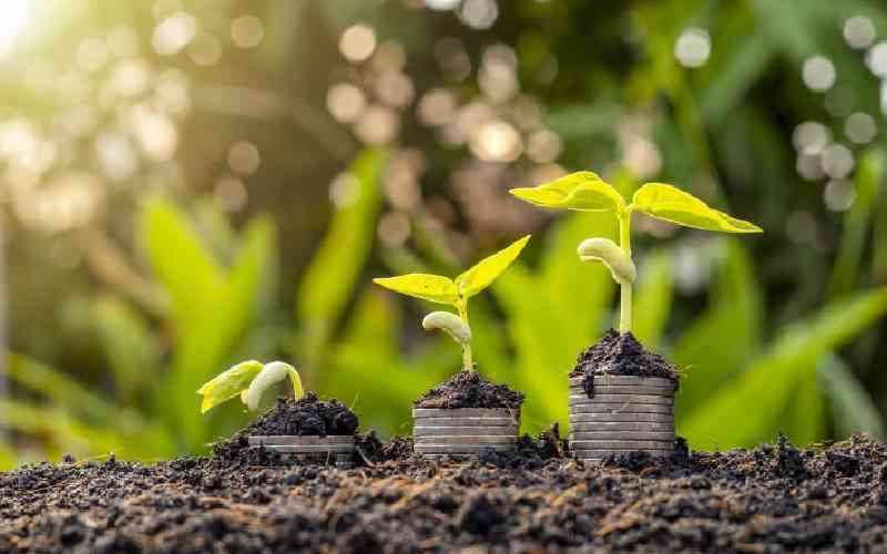 Sealing the leak in the financing of agriculture and food systems