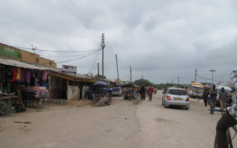 Inside Tana River's Sh39b organic city plan