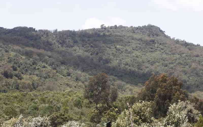 State stops subdivision of 955-acre land in Naivasha