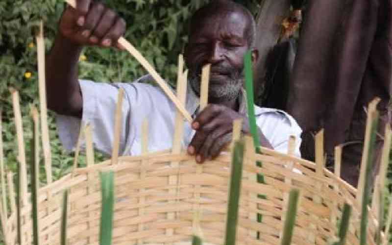 Mathira elders carry on dying art, trade of bamboo basket weaving