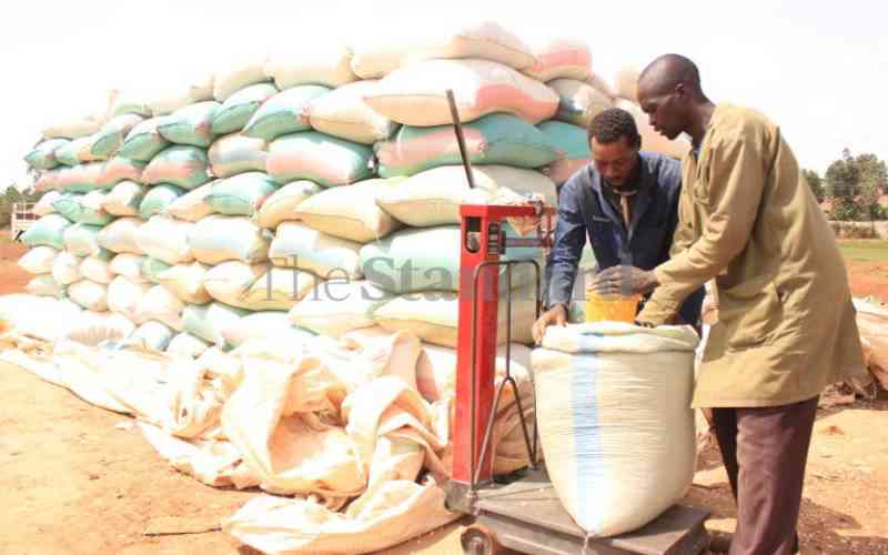 Farmers want State to buy 90kg bag of maize at Sh5,500