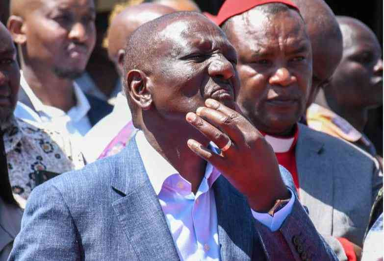 From Ubuntu to Reform: The mushrooming pro Ruto parties in Mt Kenya