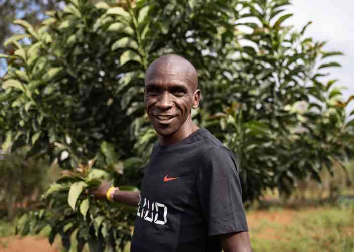 Athletics stars who have become shrewd farmers, businessmen