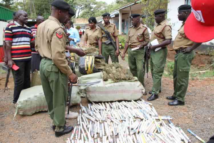 War on drugs: 16 traffickers arrested, others deported
