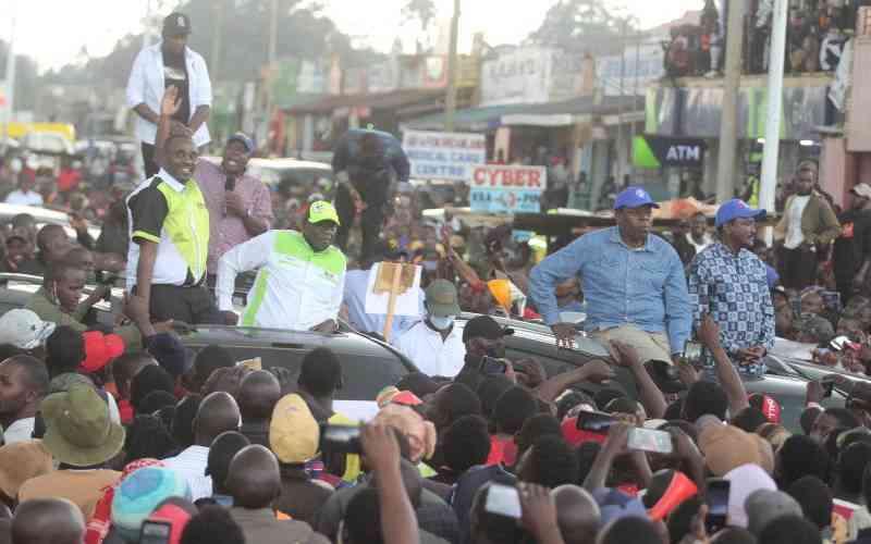 Disjointed 'united' opposition
