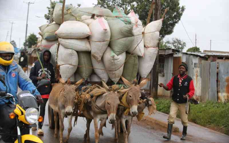 Who will speak for the beast of burden?