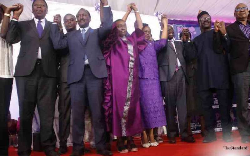 United opposition vows to block the sale of government entities