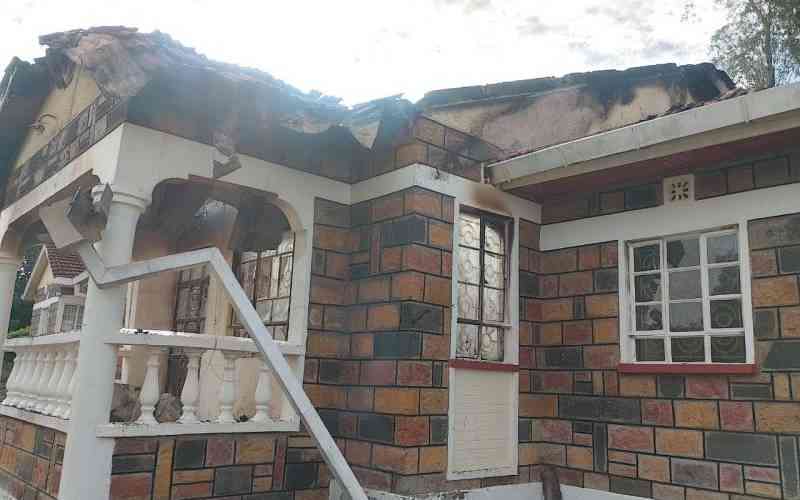 Rangwe MP Lilian Gogo's home razed in suspected arson attack