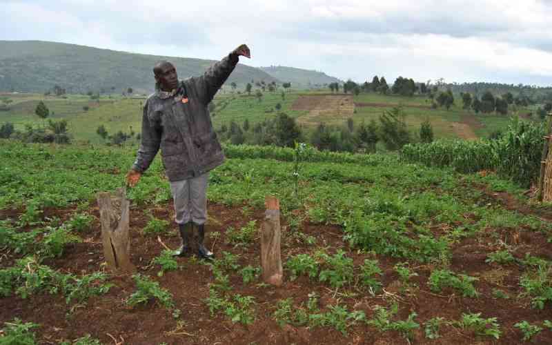 MPs in fresh push to lift expansive Mau forest complex land ban