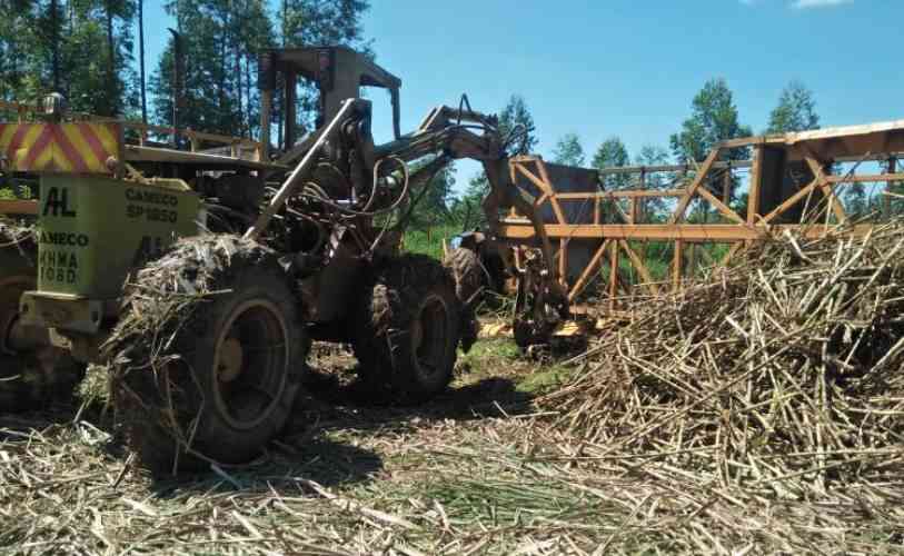 Busia leaders urge governor to save local sugar factories from closure