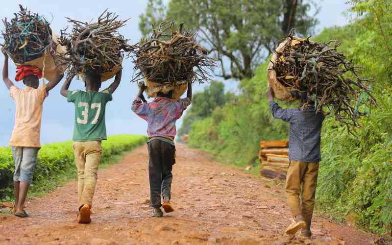 Schools feel pinch as tea firms bleed jobs in Nandi