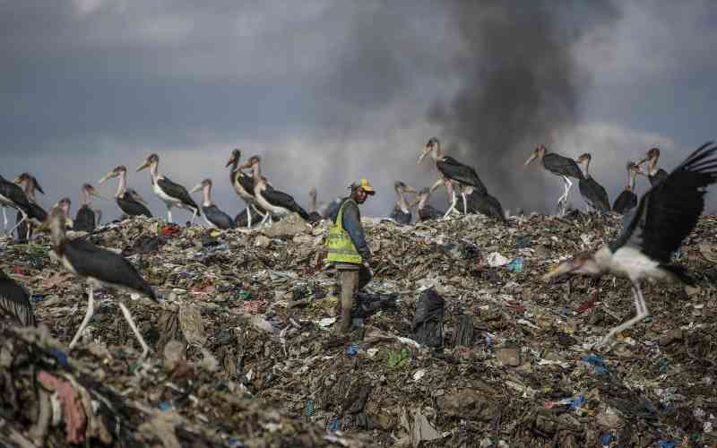 Burning trash a major source o...