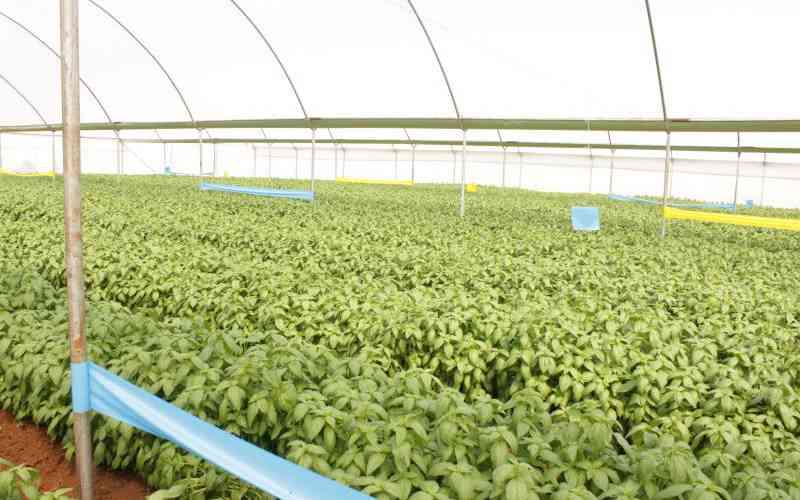 Public-private pacts key catalyst for East Africa's trade future