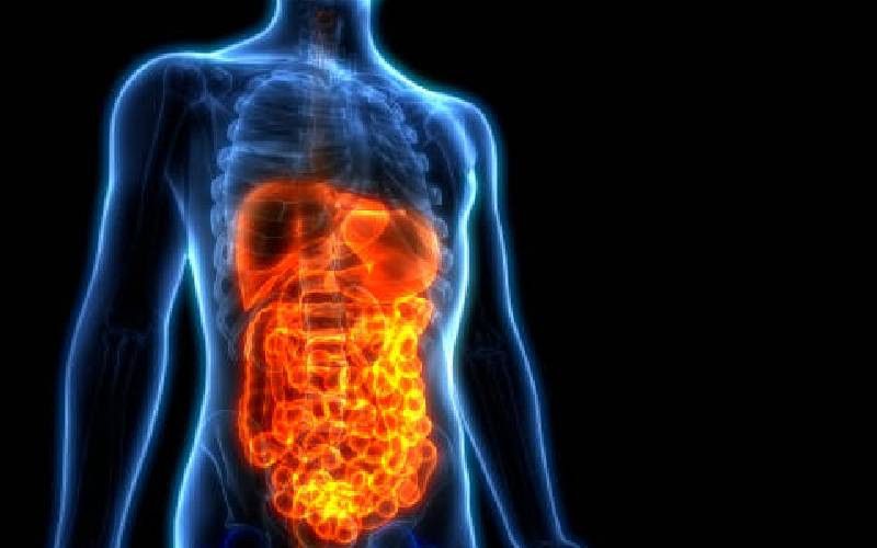 Expert: How to tell if your gut is healthy, and some warning signs