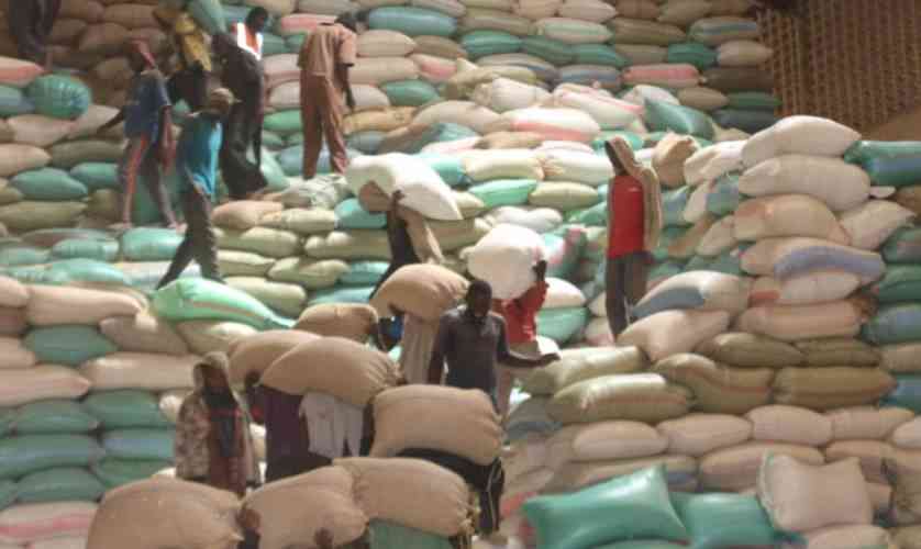 Maize production projected at 75 million bags for 2024