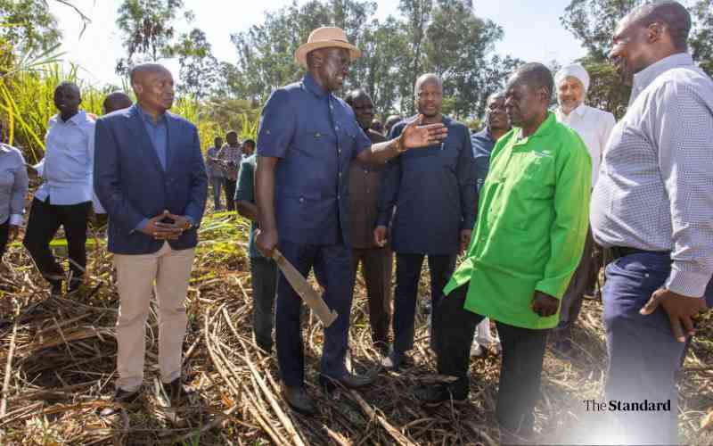 Busia farmers plot revival as Ruto promises double cane bonus