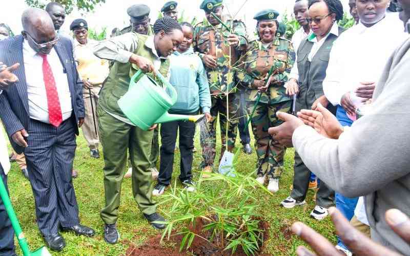 Kenya launches Sh1.5 billion Mau Forest restoration plan to rehabilitate 33,138 hectares