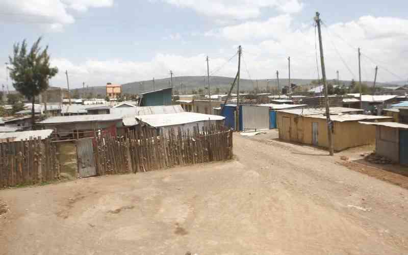Ndonga Farm not yet available for IDPs despite Ruto's directive