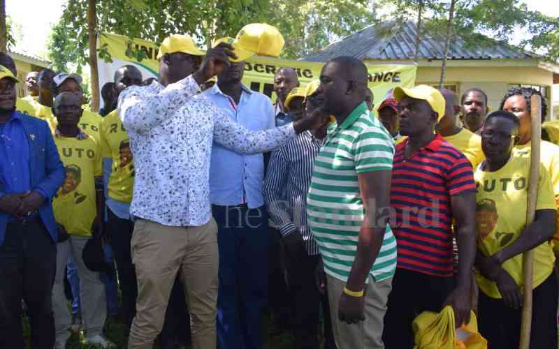 UDA youth leadership takes shape in Homa Bay as party plans mass registration