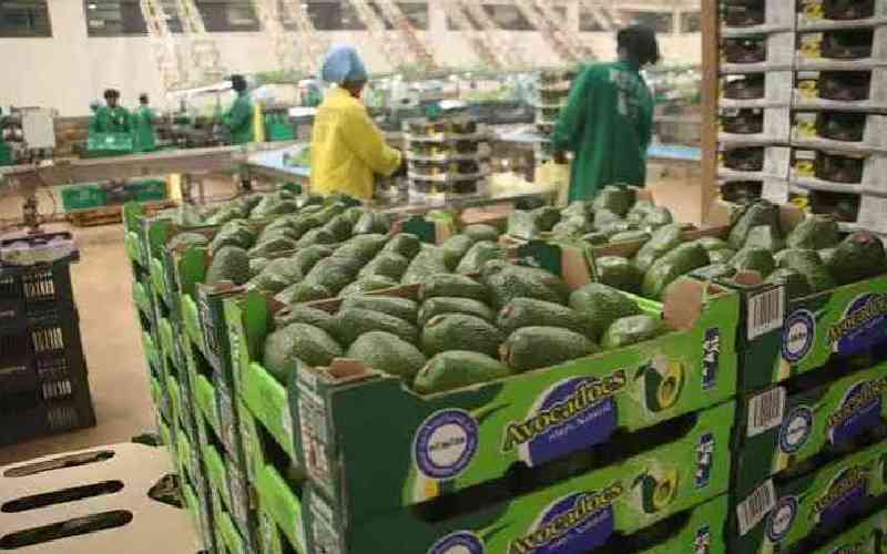 Kenya eyes higher exports to Germany