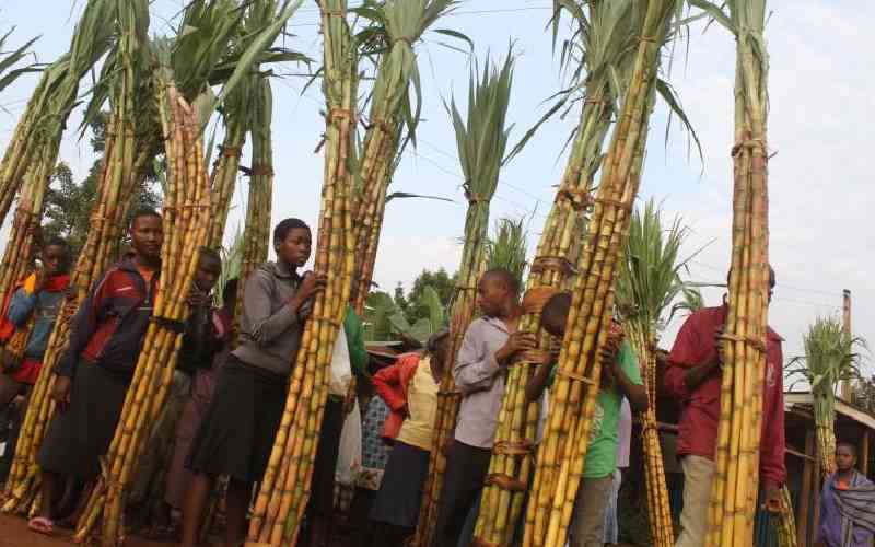 Sugarcane stakeholders mull over pricing committee