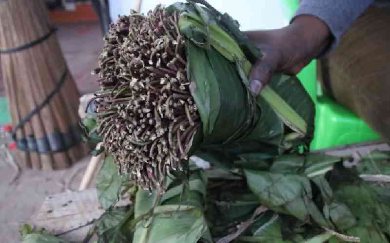 Miraa exporters up in arms over illegal payment to cartel